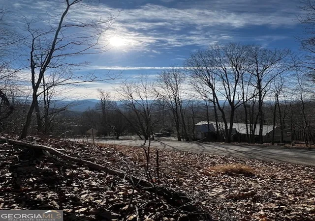 Homes for sale in Blairsville, GA | Lot 54 Sunny View Dr, Blairsville, GA 30512 | MLS# 10445692