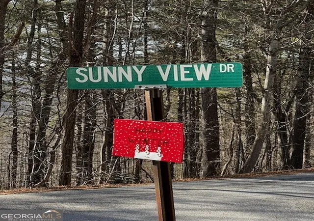 Homes for sale in Blairsville, GA | Lot 54 Sunny View Dr, Blairsville, GA 30512 | MLS# 10445692
