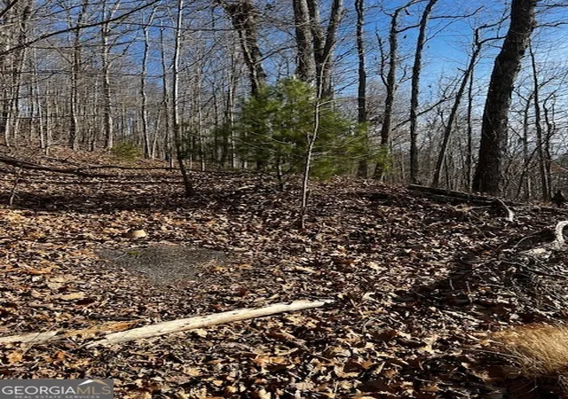 Photo 4 of Land for sale at Lot 54 Sunny View Dr, Blairsville, GA 30512 | MLS# 10445692 | Listing updated on 2026-06-28