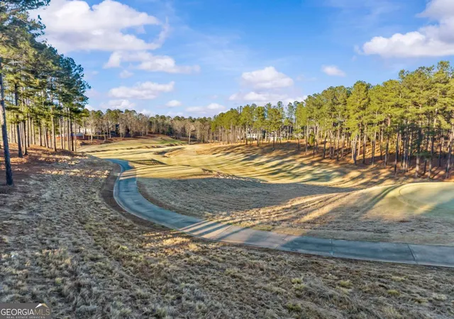 66th image of 1230 Cottage Lane East, Greensboro, GA 30642 | MLS# 10679647