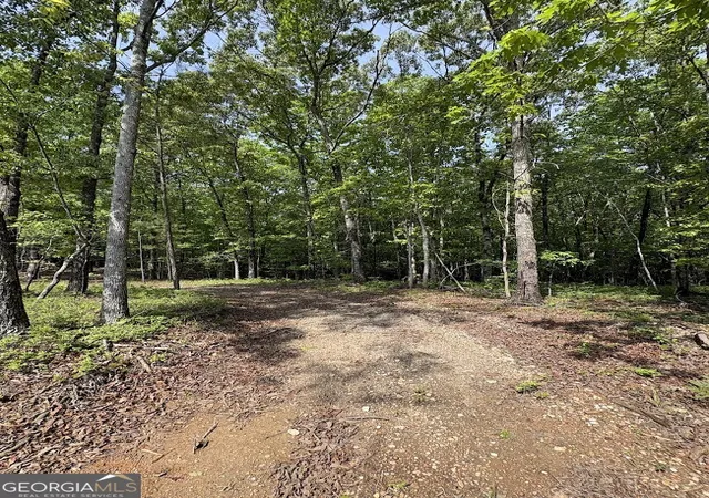 Homes for sale in Buchanan, GA | 0 Roy Dean Rd, Buchanan, GA 30113 | MLS# 10755138