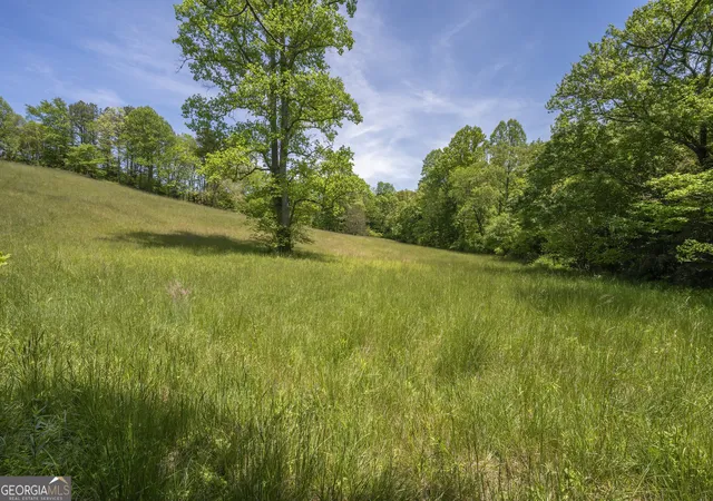 Photo 3 of Land for sale at Lot 1 1a Jonica Gap Rd, Mineral Bluff, GA 30559 | MLS# 10799516 | Listing updated on 2026-07-20