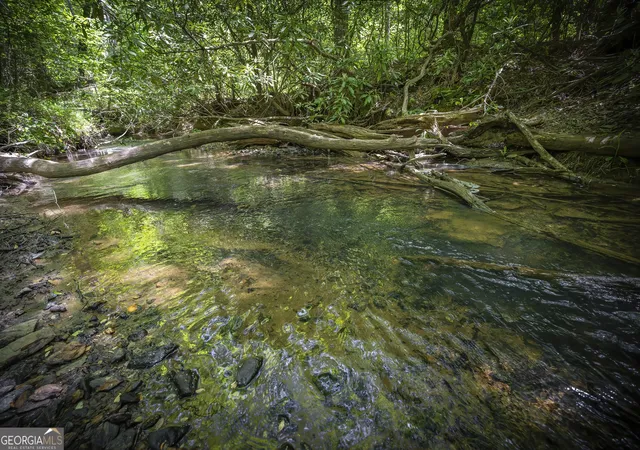Photo 3 of Sale Pending at Lot 1-1a Jonica Gap Rd, Mineral Bluff, GA 30559 | MLS# 10799516 | Listing updated on 2026-10-01
