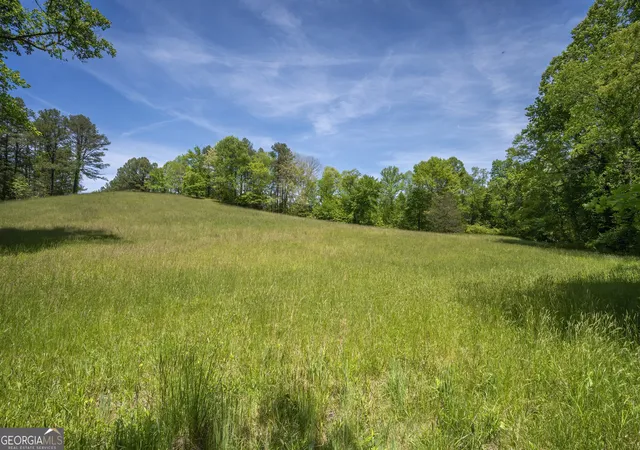 Photo 4 of Sale Pending at Lot 1-1a Jonica Gap Rd, Mineral Bluff, GA 30559 | MLS# 10799516 | Listing updated on 2026-10-01