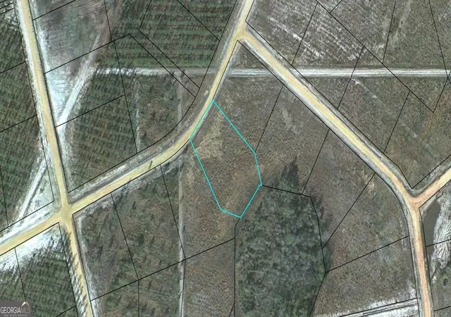 Land for sale at Lot 49 Pinecrest, Waynesville, GA 31566 | MLS# 10829476
