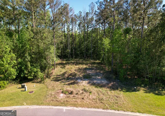 Homes for sale in Kingsland, GA | 0 Breakwater Loop Loop, Kingsland, GA 31548 | MLS# 10730377
