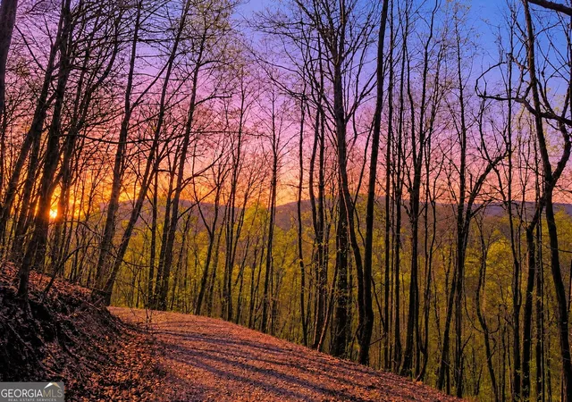 Photo 1 of Land for sale at 29 Ac Hidden Valley Dr #00, Ellijay, GA 30536 | MLS# 10758515 | Listing updated on 2026-09-04