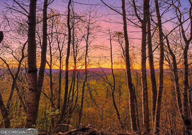 Photo 2 of Land for sale at 29 Ac Hidden Valley Dr #00, Ellijay, GA 30536 | MLS# 10758515 | Listing updated on 2026-09-04