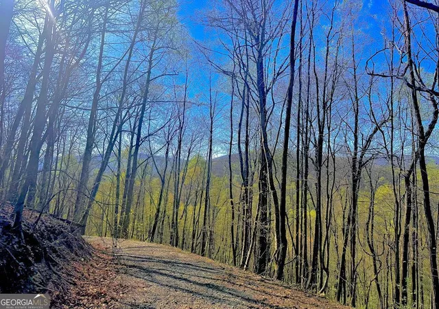 Photo 3 of Land for sale at 29 Ac Hidden Valley Dr #00, Ellijay, GA 30536 | MLS# 10758515 | Listing updated on 2026-09-04
