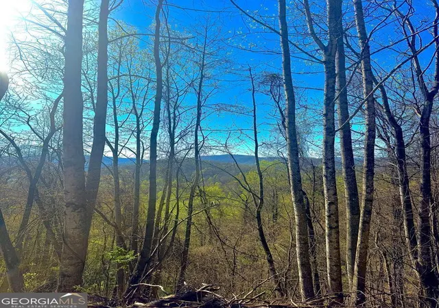 Photo 4 of Land for sale at 29 Ac Hidden Valley Dr #00, Ellijay, GA 30536 | MLS# 10758515 | Listing updated on 2026-09-04