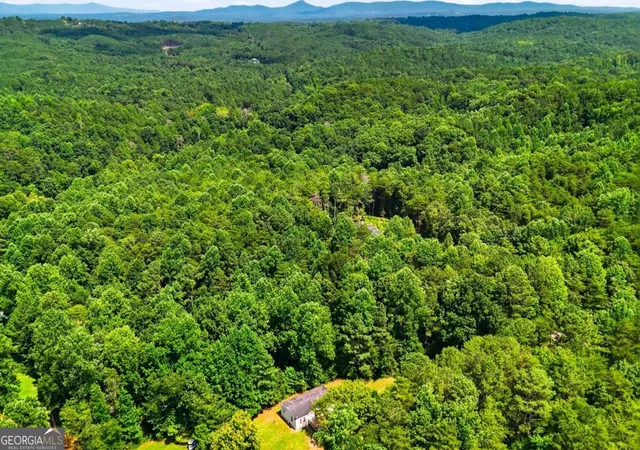 23rd image of 1310 Davis Rd W, Fairmount, GA 30139 | MLS# 10814530