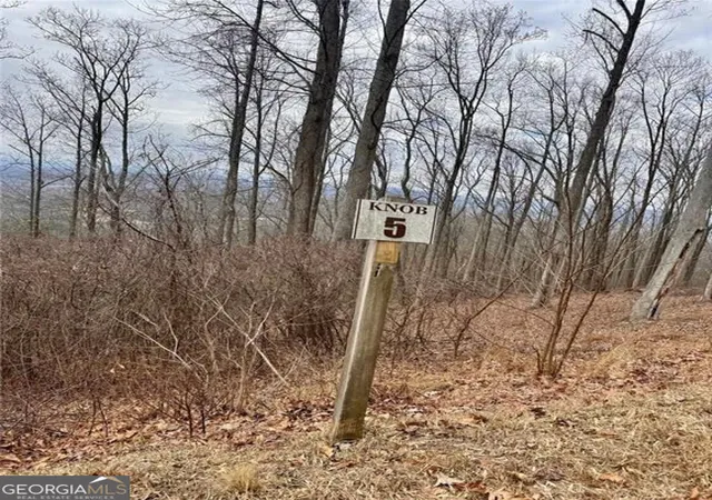 Photo 3 of Land for sale at 5 Rocky Knob, Young Harris, GA 30582 | MLS# 10827670 | Listing updated on 2026-08-31