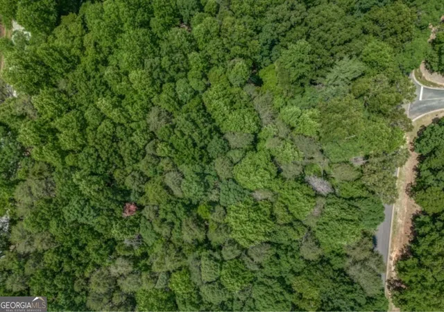 Photo 3 of Land for sale at 0 Plum Ln, Clarkesville, GA 30523 | MLS# 10664729 | Listing updated on 2026-10-08