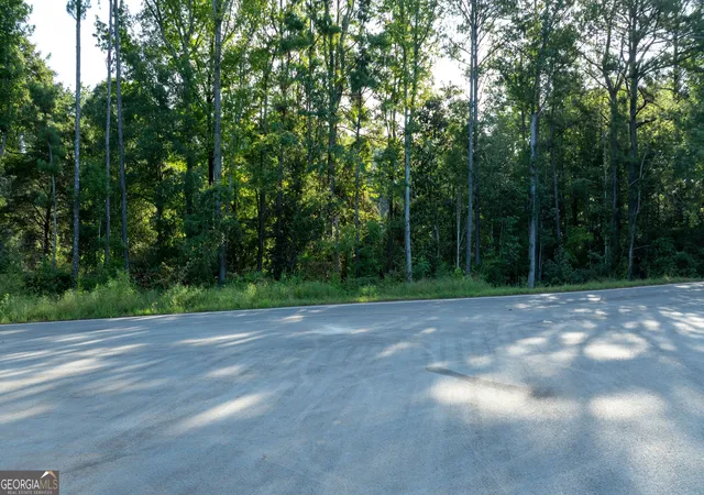 Photo 3 of Land for sale at 62 & 80 Turin Rd, Senoia, GA 30276 | MLS# 10827264 | Listing updated on 2026-10-07