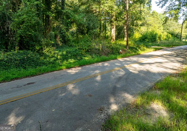 52nd image of 62 & 80 Turin Rd, Senoia, GA 30276 | MLS# 10827264