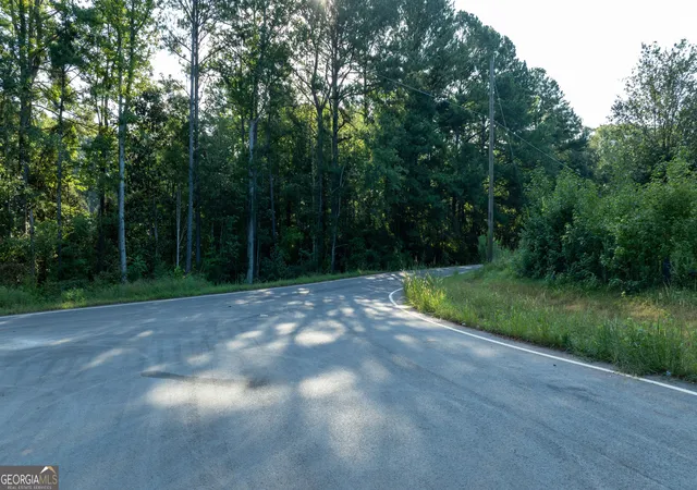 Photo 4 of Land for sale at 62 & 80 Turin Rd, Senoia, GA 30276 | MLS# 10827264 | Listing updated on 2026-10-07