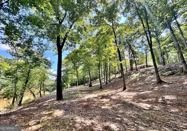 1st image of 8502 S 19 Hwy, Culloden, GA 31016 | MLS# 10817884
