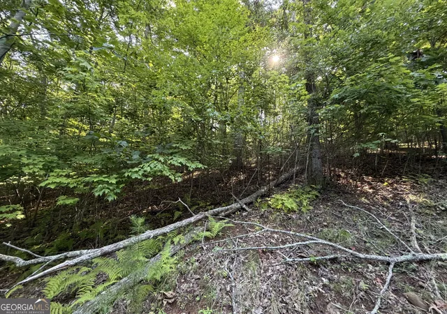 Photo 3 of Land for sale at Lot 7 Ml Ridge Rd, Hiawassee, GA 30546 | MLS# 10790745 | Listing updated on 2026-08-31