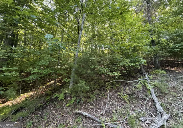 Photo 4 of Land for sale at Lot 7 Ml Ridge Rd, Hiawassee, GA 30546 | MLS# 10790745 | Listing updated on 2026-08-31