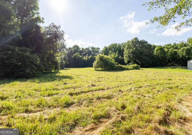 Homes for sale in Canon, GA | 248 Starrs Bridge Rd Tract 1, Canon, GA 30520 | MLS# 10789030