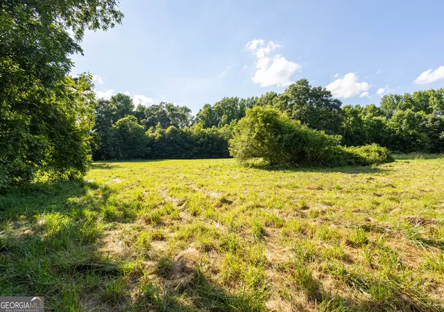 Homes for sale in Canon, GA | 248 Starrs Bridge Rd Tract 1, Canon, GA 30520 | MLS# 10789030