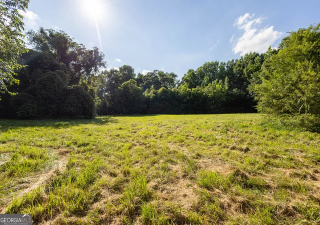 Homes for sale in Canon, GA | 248 Starrs Bridge Rd Tract 1, Canon, GA 30520 | MLS# 10789030