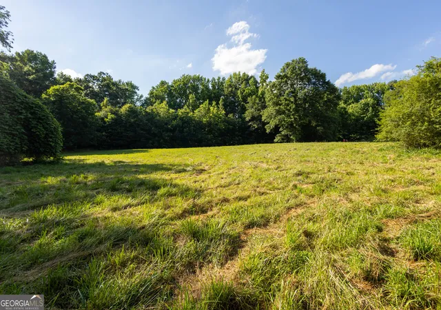 Homes for sale in Canon, GA | 248 Starrs Bridge Rd Tract 1, Canon, GA 30520 | MLS# 10789030