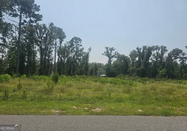 1st image of 0 Chesley Dr, Vidalia, GA 30474 | MLS# 10816174