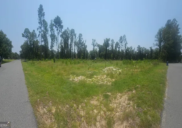 3rd image of 0 Chesley Dr, Vidalia, GA 30474 | MLS# 10816174