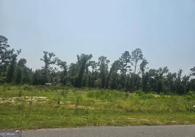 4th image of 0 Chesley Dr, Vidalia, GA 30474 | MLS# 10816174