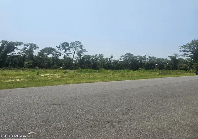 5th image of 0 Chesley Dr, Vidalia, GA 30474 | MLS# 10816174