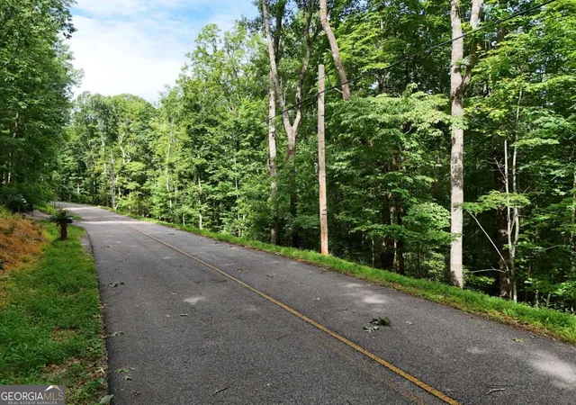 Photo 2 of Land for sale at Lot 131 Laurel Xing, Blue Ridge, GA 30513 | MLS# 10792025 | Listing updated on 2026-07-12