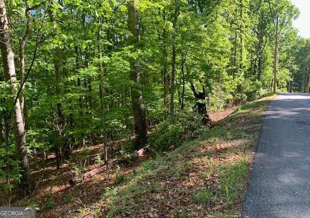 Photo 4 of Land for sale at Lot 131 Laurel Xing, Blue Ridge, GA 30513 | MLS# 10792025 | Listing updated on 2026-07-12