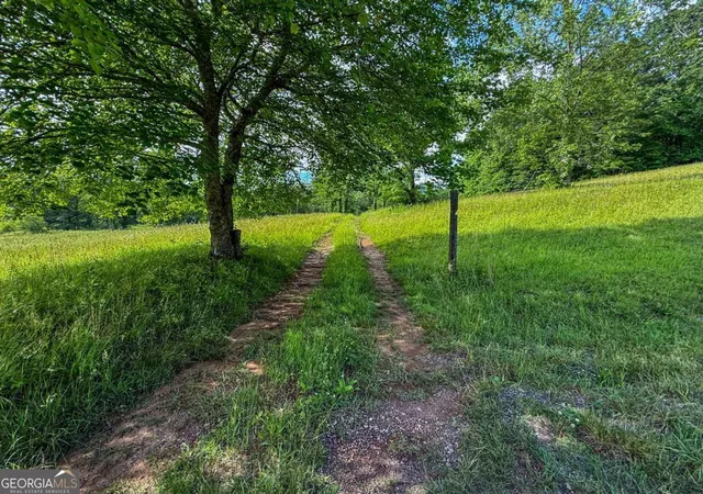Homes for sale in Suches, GA | 239 Glen Elliott Rd, Suches, GA 30572 | MLS# 10784260