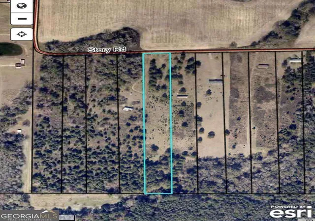 1st image of Tbd Story Rd Lot#5, Arabi, GA 31712 | MLS# 10774172