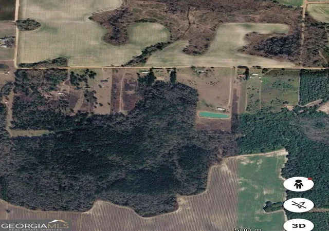 3rd image of Tbd Story Rd Lot#5, Arabi, GA 31712 | MLS# 10774172