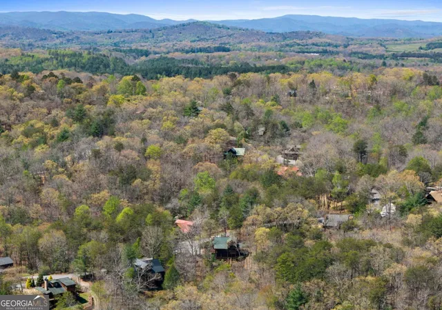 4th image of 113 Dallas Ln, Blue Ridge, GA 30513 | MLS# 10826709