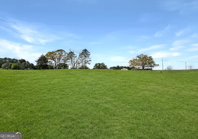 Land for sale at 0 Gooseneck Rd, Eastanollee, GA 30538 | MLS# 10806624