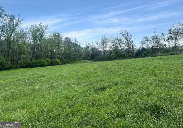 Photo 2 of Land for sale at 0 Gooseneck Rd, Eastanollee, GA 30538 | MLS# 10806624 | Listing updated on 2026-07-30