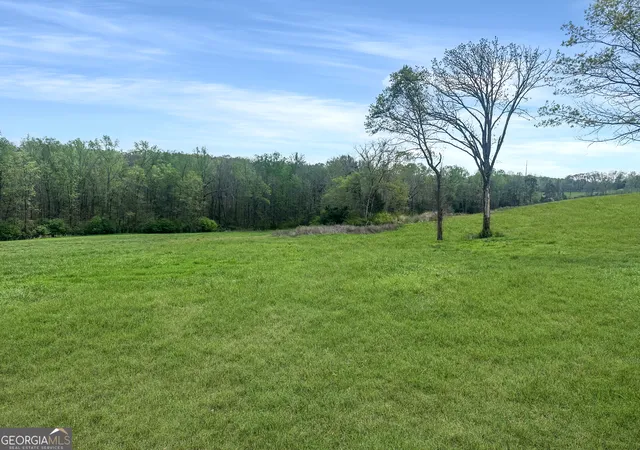 Photo 3 of Land for sale at 0 Gooseneck Rd, Eastanollee, GA 30538 | MLS# 10806624 | Listing updated on 2026-07-30