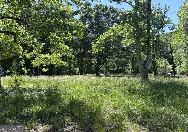 Photo 3 of Land for sale at 36 Marie St, Temple, GA 30179 | MLS# 10762872 | Listing updated on 2026-07-16