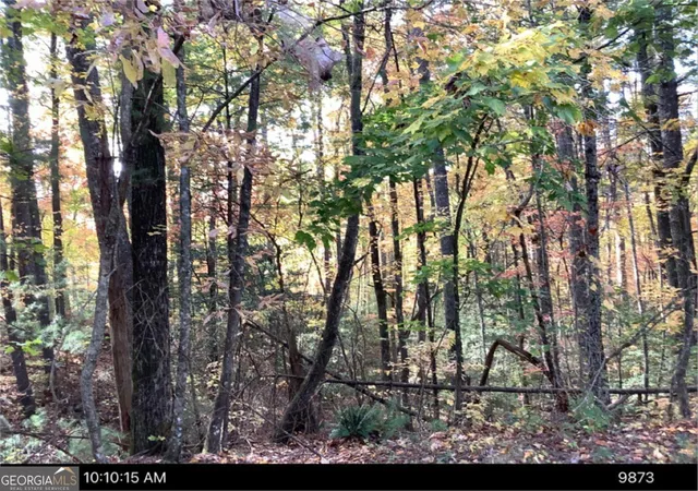 Photo 1 of Land for sale at 0 Andros Ct, Ellijay, GA 30540 | MLS# 10807746 | Listing updated on 2026-08-08