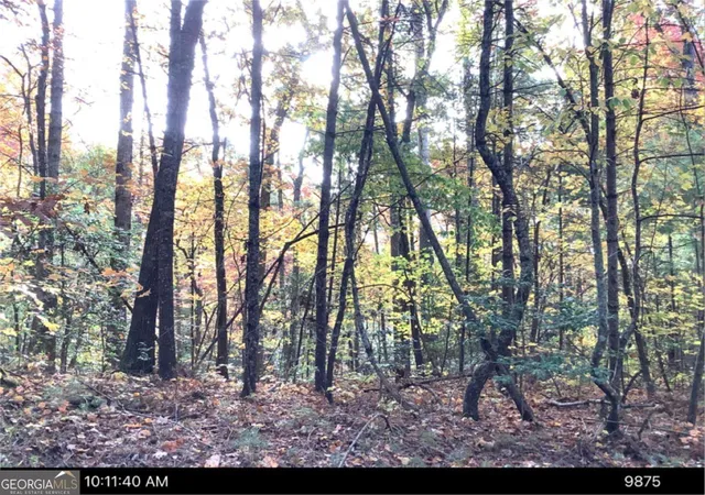 Photo 4 of Land for sale at 0 Andros Ct, Ellijay, GA 30540 | MLS# 10807746 | Listing updated on 2026-08-08
