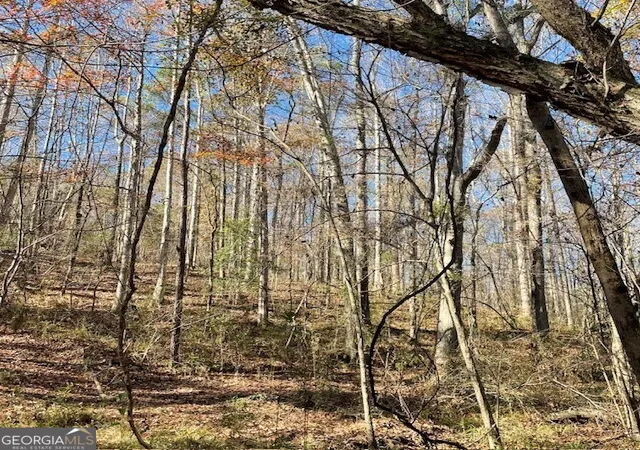 Homes for sale in Buena Vista, GA | 0 Pineville Rd #100+/- ACRES, Buena Vista, GA 31803 | MLS# 10625546