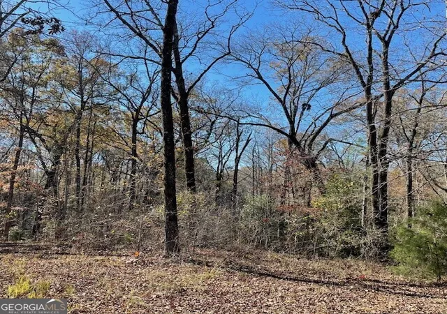 Homes for sale in Buena Vista, GA | 0 Pineville Rd #100+/- ACRES, Buena Vista, GA 31803 | MLS# 10625546