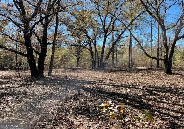 Homes for sale in Buena Vista, GA | 0 Pineville Rd #100+/- ACRES, Buena Vista, GA 31803 | MLS# 10625546
