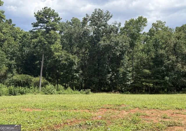 5th image of 681 Pine Grove Church Rd, Culloden, GA 31016 | MLS# 10819089