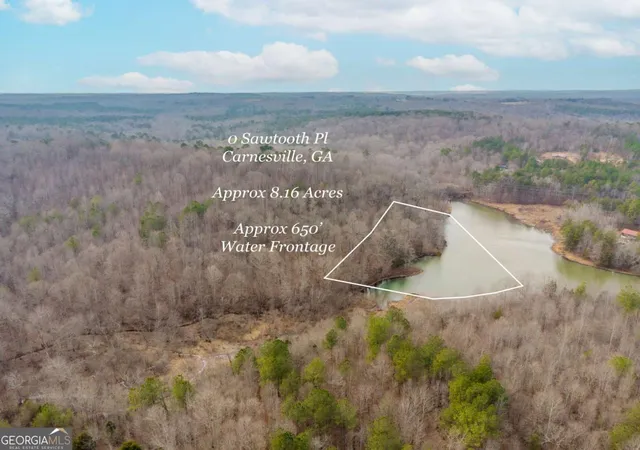 2nd image of 0 Sawtooth Pl, Carnesville, GA 30521 | MLS# 10690562