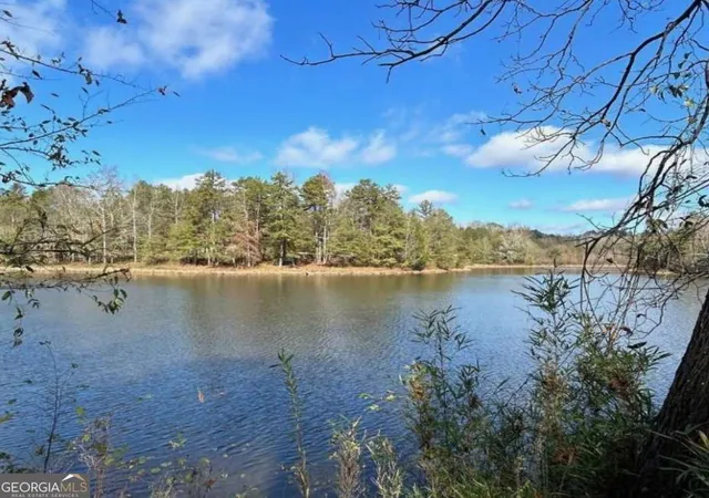 Photo 3 of Land for sale at 0 Sawtooth Pl, Carnesville, GA 30521 | MLS# 10690562 | Listing updated on 2026-09-01