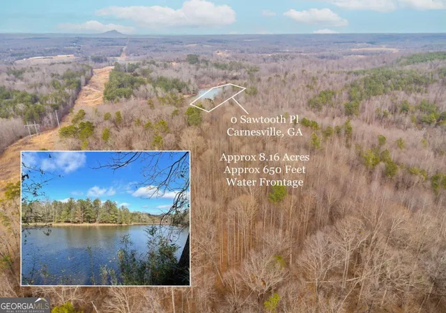 Photo 4 of Land for sale at 0 Sawtooth Pl, Carnesville, GA 30521 | MLS# 10690562 | Listing updated on 2026-09-01